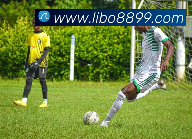 libo立博英国平台生态图